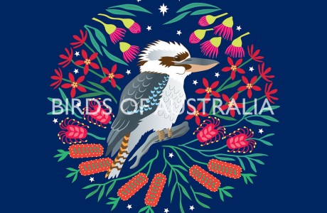 Kookaburra Birds of Australia