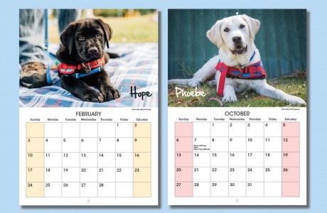 Assistance Dogs Australia 2019 calendar sample pages