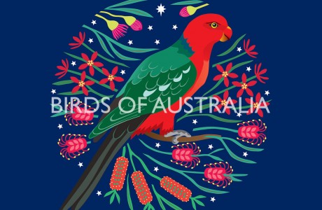 King Parrot Birds of Australia