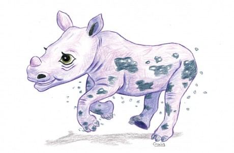 Little rhino